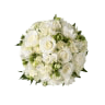 Wedding Wear & Accessories